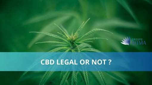 CBD and the Law in Quebec