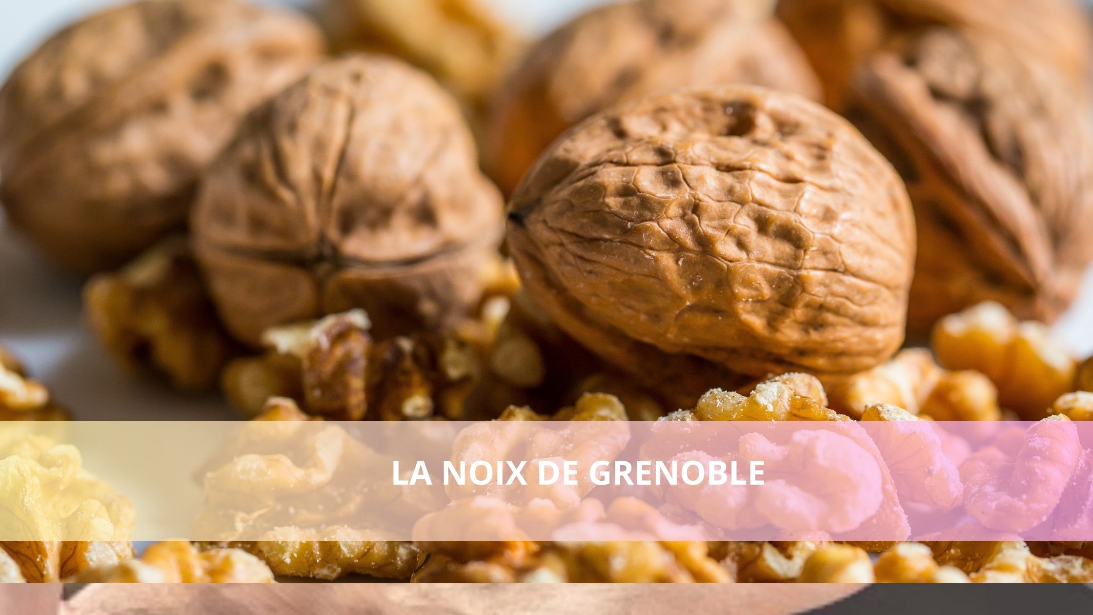 La noix de Grenoble : un concentré de bienfaits à intégrer à votre alimentation