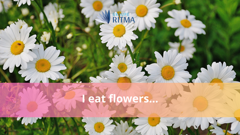 I eat flowers…