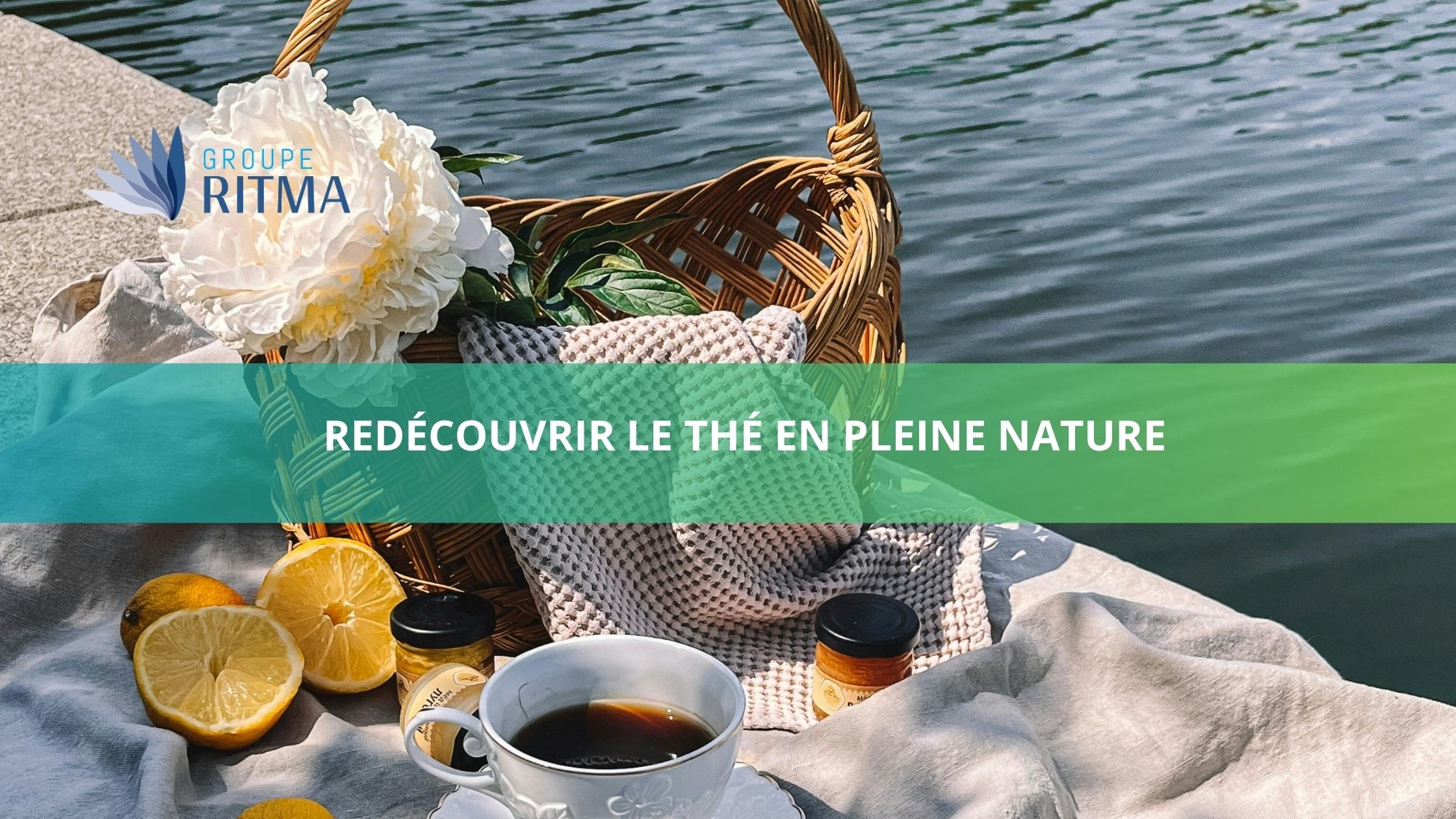 Redécouvrir le thé en pleine nature