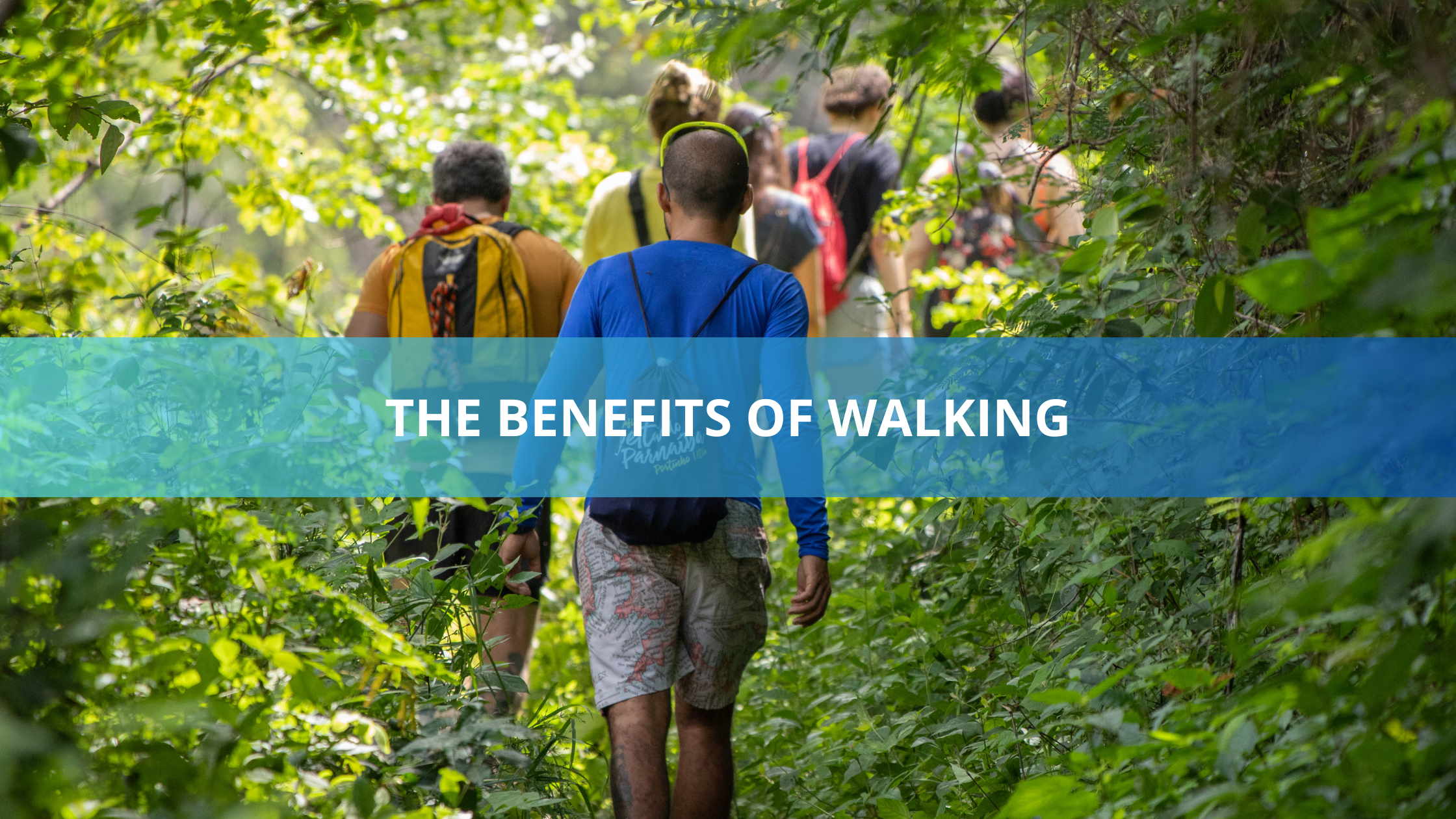 The Benefits of Walking: A Hidden Treasure for Your Health